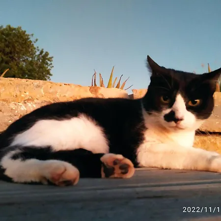 Casa Natura 4* Castro Marim