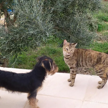 Casa Natura 4* 马林堡