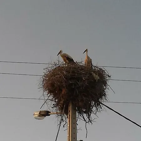 Pensión Casa Natura 4*