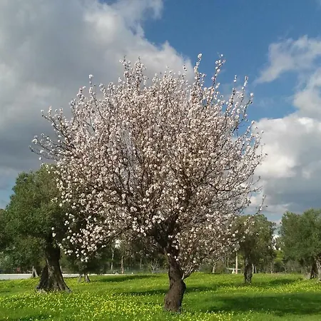 Casa Natura 4* 马林堡