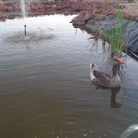 Casa Natura Castro Marim