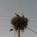 Pensionat Casa Natura 4*
