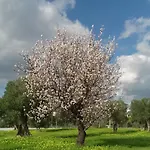 Casa Natura 4* Castro Marim