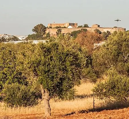 Casa Natura Guest house 4*