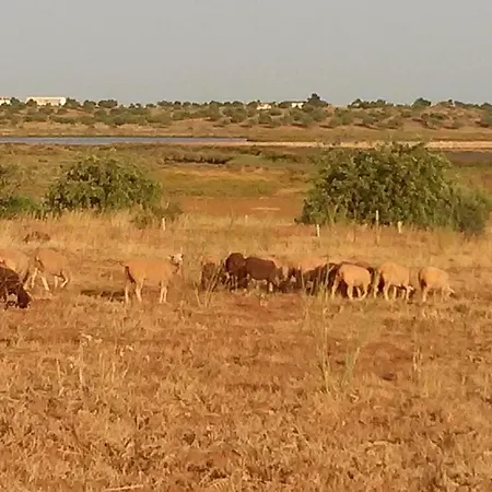 Casa Natura