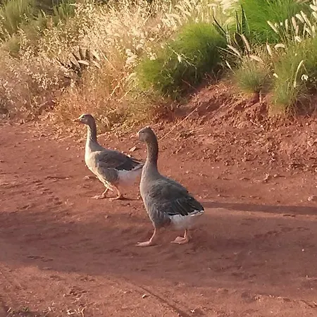 Casa Natura Vendégház 4*