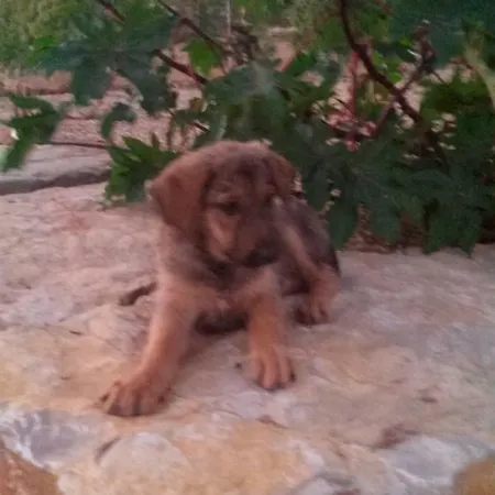 Casa Natura 4* Castro Marim