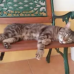 Casa Natura 4*