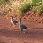 Casa Natura ゲストハウス 4*