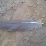 Casa Natura 4*