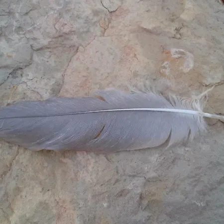 Casa Natura 4*